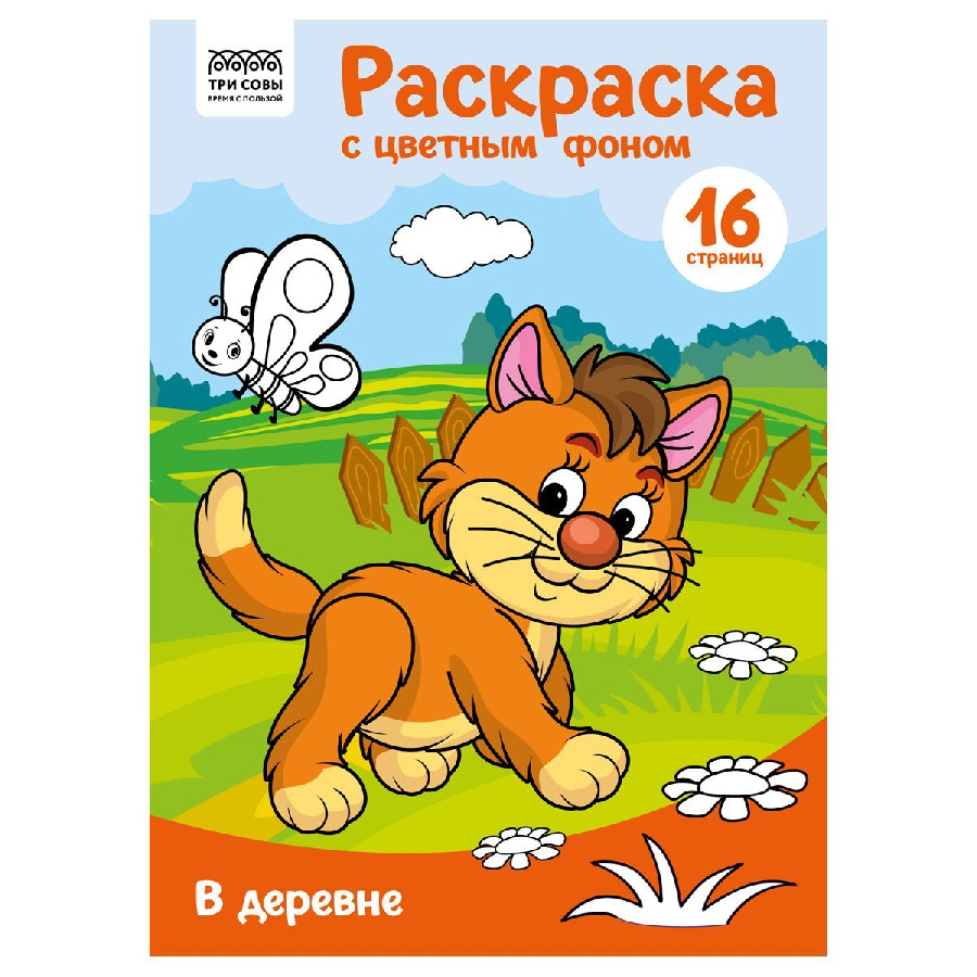 Раскраска с цв. фоном А4, 16 стр., ТРИ СОВЫ "В деревне"