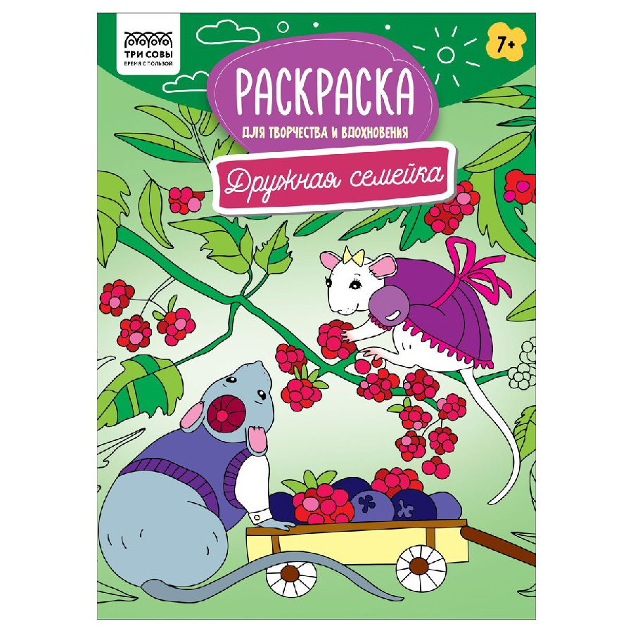 Раскраска А4, 16 стр., ТРИ СОВЫ "Для творчества и вдохновения. Дружная семейка"