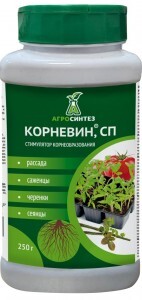 Корневин 250гр. (стимулятор корнеобразования) Агросинтез