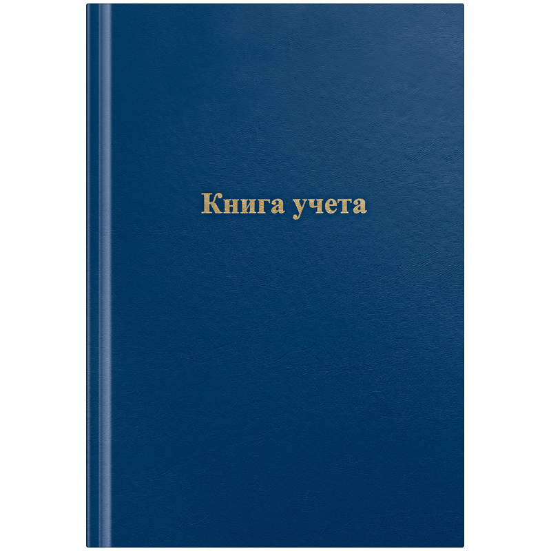 Книга учета OfficeSpace, А4, 96л., клетка, 200*290мм, бумвинил, цвет синий, блок офсетный, клетка с рамкой