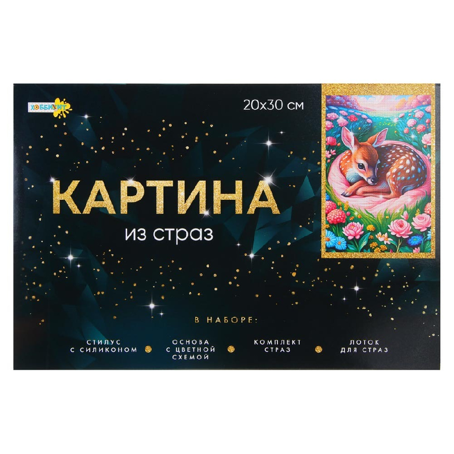 ХОББИХИТ Картина из страз, комплект (стразы, основа, палочка), 20х30см, 10 дизайнов